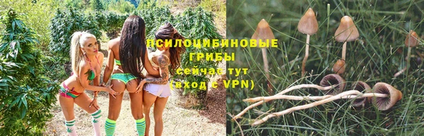 apvp Алексеевка
