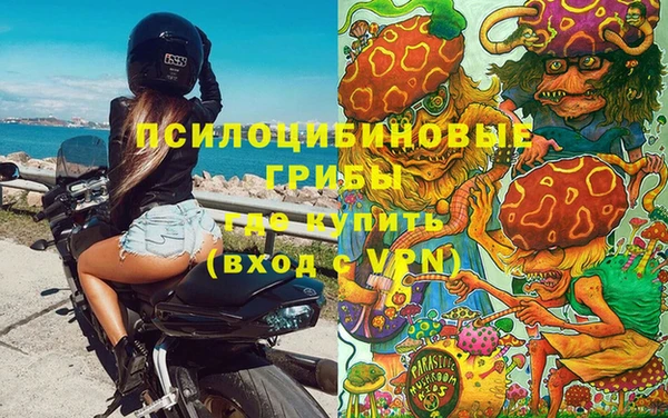 винт Алексин